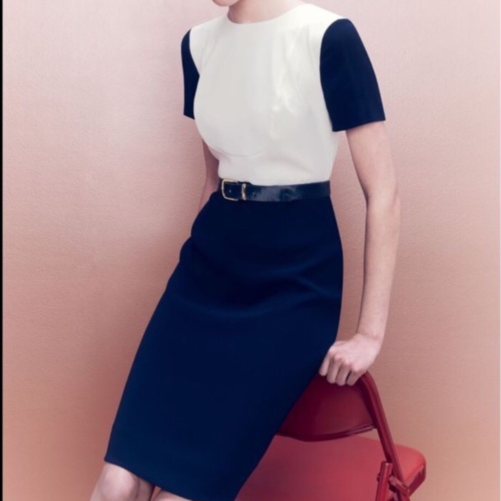 J. Crew Navy and Cream Career Dress